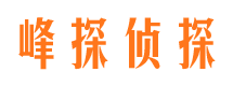 武都市侦探公司